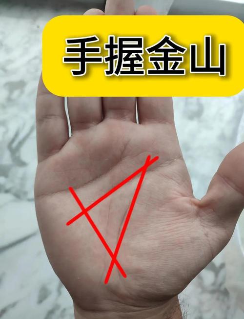 手心財庫紋里有方形紋 非常擅長理財