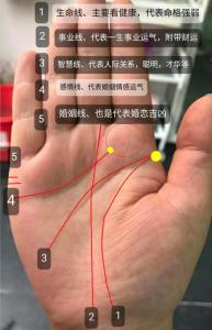 婚姻線分叉又合在一起 婚姻運勢稍有坎坷