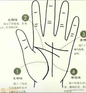 男人手相生命線圖解 解析生命線是哪一條