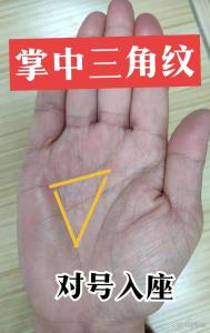 手相金庫三角 抱負遠大事業心強
