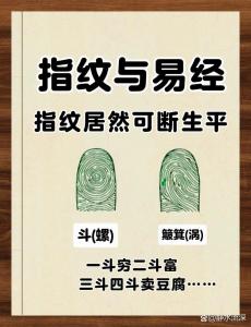 六個斗四簸箕的女人 桃花運事業運絕佳