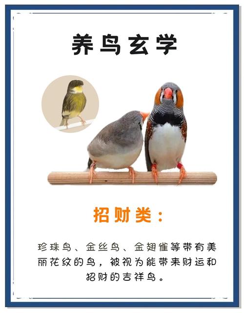 家里養鳥 對風水有好處嗎