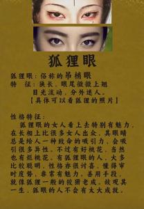 面相分析狐貍眼的人性格命運，狡猾世故不吃虧！
