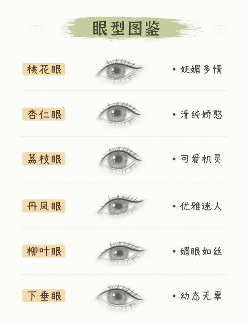 眼形大全圖解