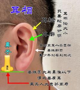 從面相看你的耳朵知福祿