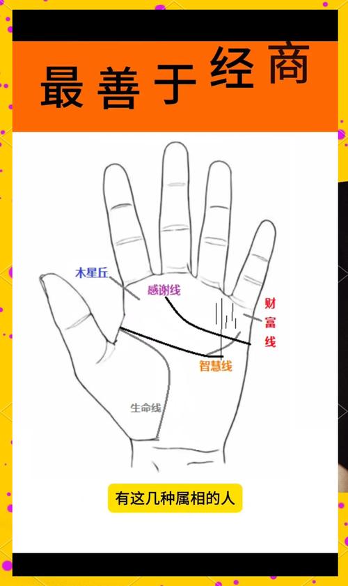這幾種手相的人最善于經(jīng)商