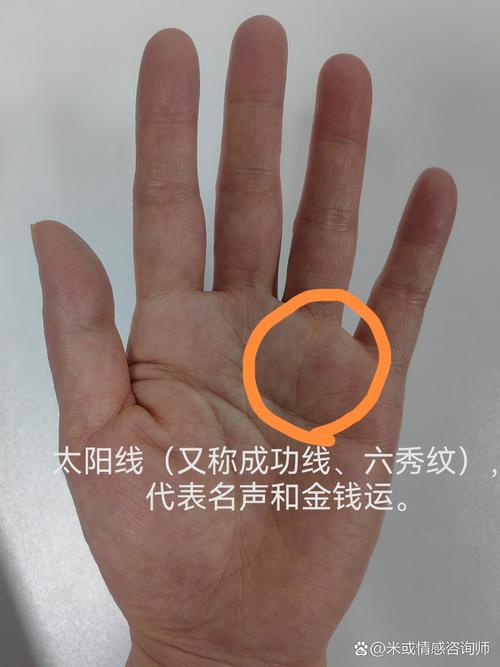 手相太陽線看你今生會有多少財富