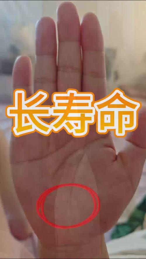 擁有美好晚年的手相