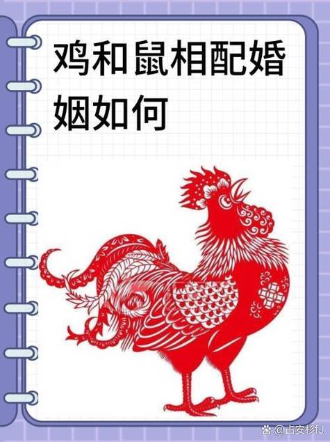 建議和注意事項 生肖雞配生肖鼠怎么樣呢