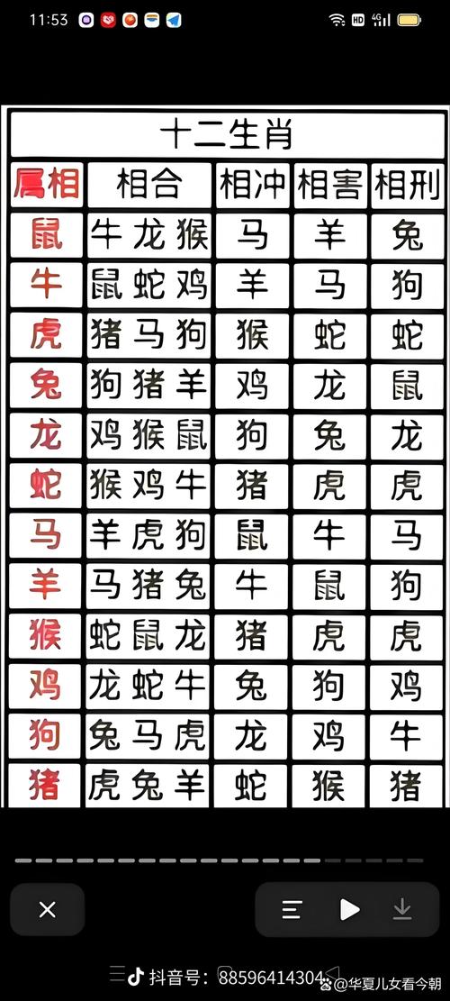 屬猴的婚配表 屬猴的上等婚配生肖