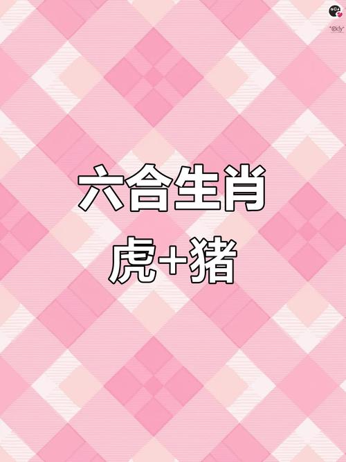 兩人能否變得越來越有錢 生肖虎和什么生肖最配豬女