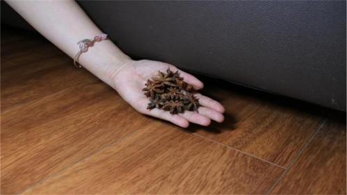 特別厲害！快在床邊丟幾粒八角