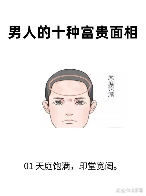 天庭飽滿的男人非富即貴是真的嗎