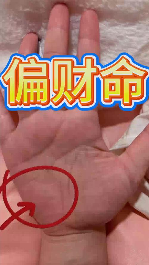 2種偏財運極好紋路手相 手上擁有不動產紋和指節紋