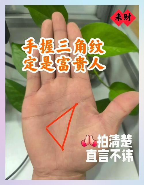 元寶紋三角紋手相圖解 金元寶提升事業高度