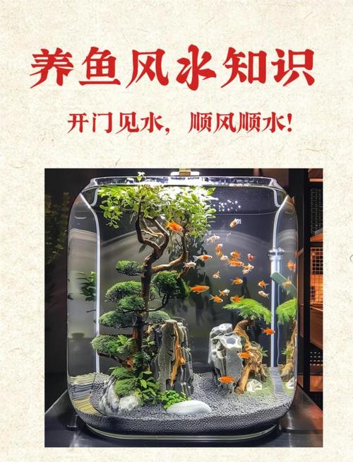 魚缸放了什么反而影響風水魚的招財作用