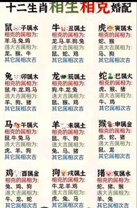 什么是沖祿，詳解沖祿格
