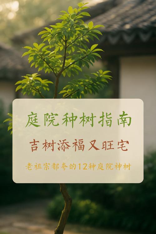 怎么讓家里風水旺 種植樟樹可以擋災禍