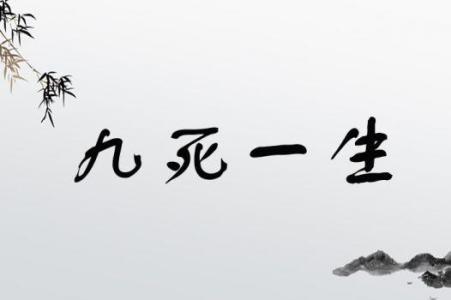 生命靈數9的人一生悲慘