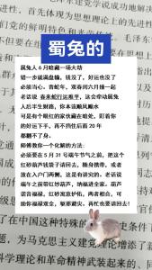 1987屬兔是什么命 屬兔1987年有孤寡命