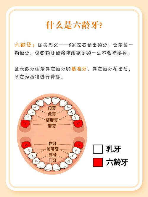29顆牙齒的命運解