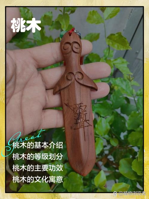 可以斬桃花的風水物件 帶刺植物作用大
