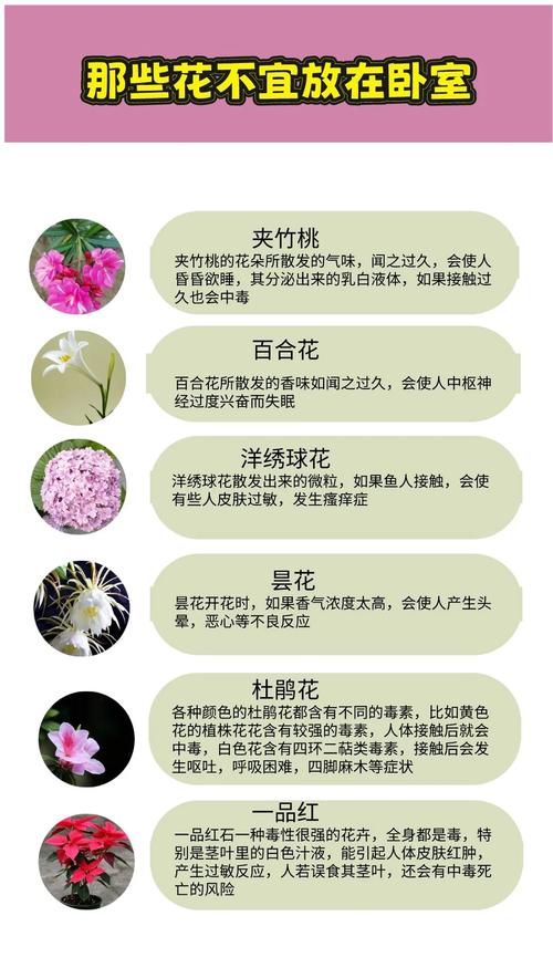 婚姻風水常識 鮮花不宜多
