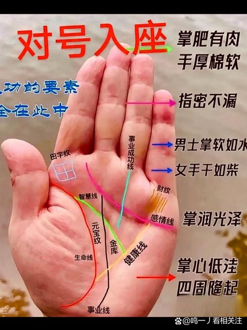 手相算命，手相看哪些人外出發(fā)展更有利