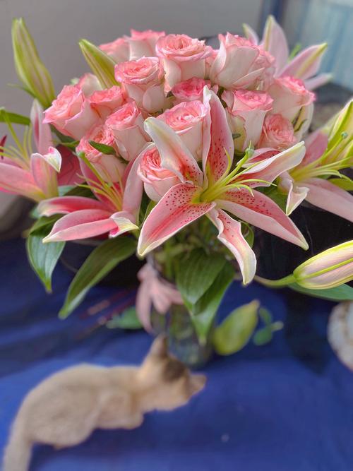 適合招桃花運的花 玫瑰百合情意綿綿