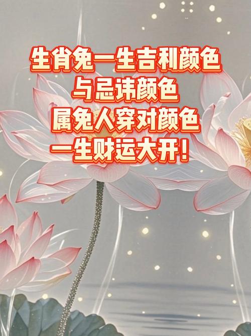 屬兔人一生的幸運色是什么顏色 屬兔人一生的貴人到底是誰呢?