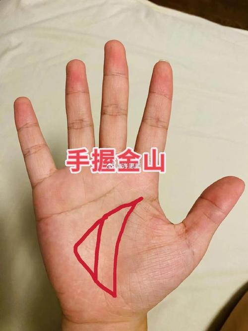 手掌有金山銀山的手相