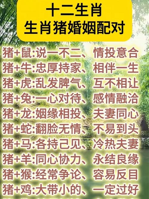 怎樣和屬豬的人相處 屬豬人暗戀一個人的經典表現