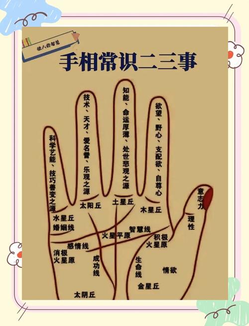 手相看你小秘密