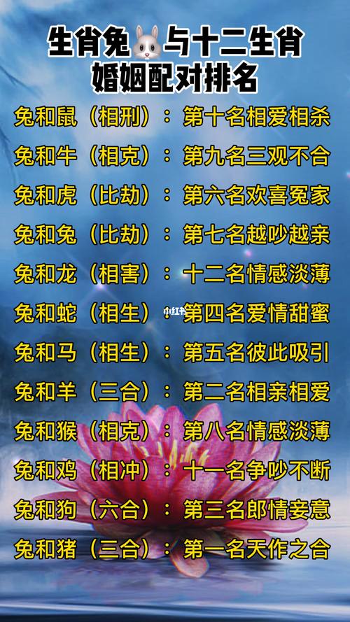 屬兔的婚配表 屬兔的上等婚配生肖