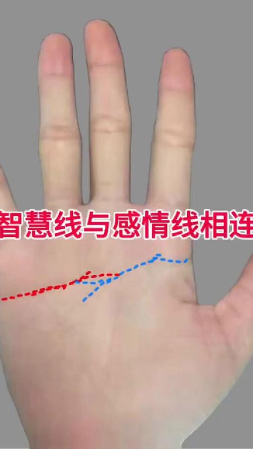 手相感情線連接智慧線