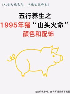屬豬人一生的幸運(yùn)色是什么顏色 屬豬人一生的貴人到底是誰呢?