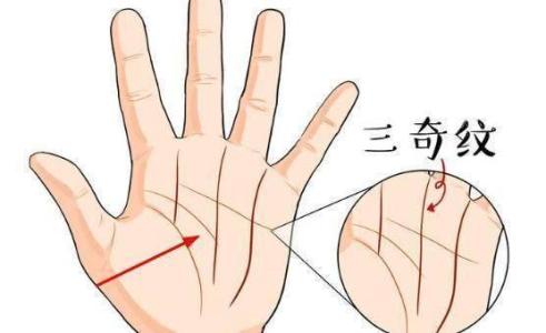 手紋亂代表什么 男女有何不同
