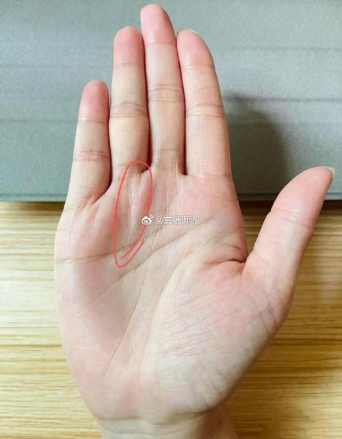 35歲暴富的女人手相特征 太陽丘隆起 掌心凹陷