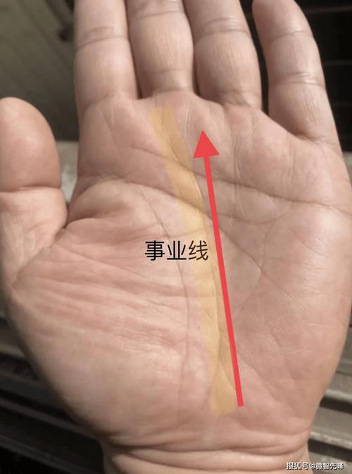手相黃金線是哪一條 文憑線也叫玉柱線