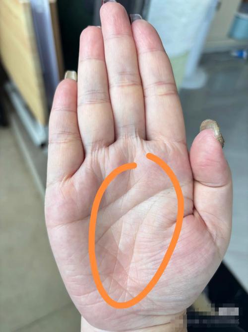 女人的掌紋有財(cái)氣有福氣 元寶紋財(cái)運(yùn)滾滾來