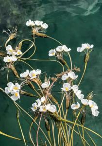 水性楊花的面相 是什么