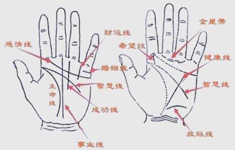 你的手相有這些特征 那你的偏財運一定非常好