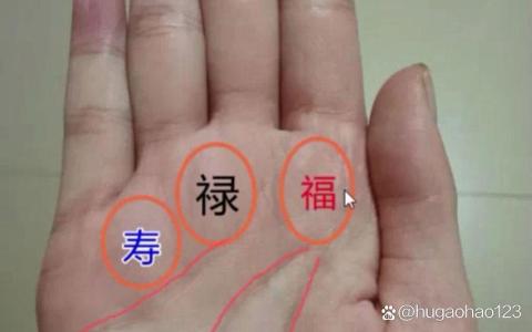 手相福祿壽三丘隆起 守財能力極佳頭腦聰明