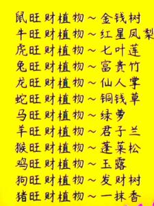 12生肖旺財(cái)風(fēng)水花草，找對(duì)了就賺了
