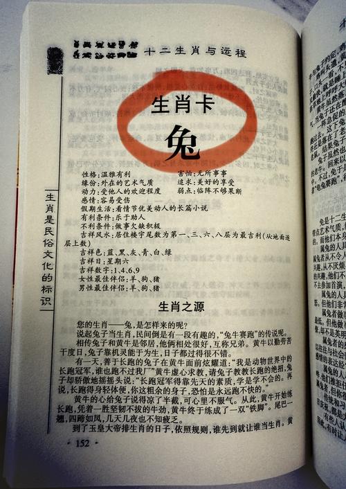 屬兔的人一生命運怎么樣 屬兔人優(yōu)點和缺點