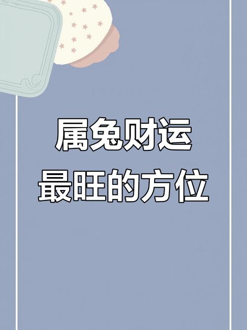 生肖兔2024年財運分析 2024年屬兔的財位在哪個方向