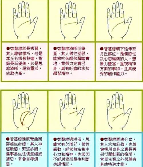 智慧線與事業線相連代表什么，功成名就還是一事無成？