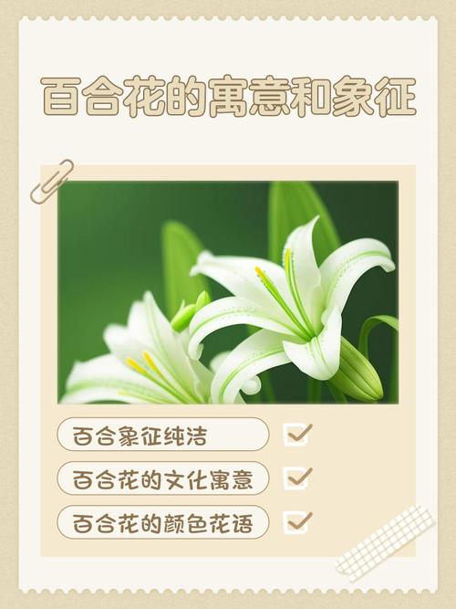 招桃花運的花 百合花有大用處