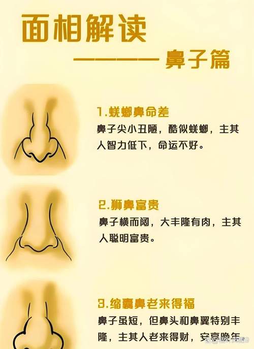 面相男人鼻梁低命運好嗎