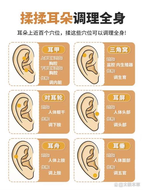 女人耳朵小代表什么 好不好